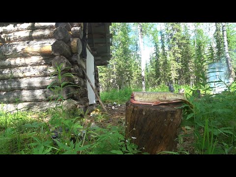 Видео: АХИКТАКАР 333 |  ЧАСТЬ 4 | СУХАЯ ТУНГУСКА КОРМИТ