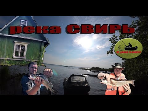 Видео: СВИРЬ рыбалка, ночуем в ИЗБАХ, летнее путешествие!