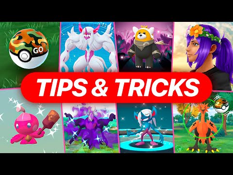 Видео: Wild Area Global 2025 | Советы и рекомендации