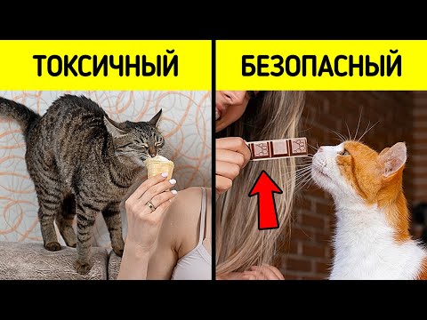 Видео: 16 Фактов, которые животные предпочитают скрывать от вас