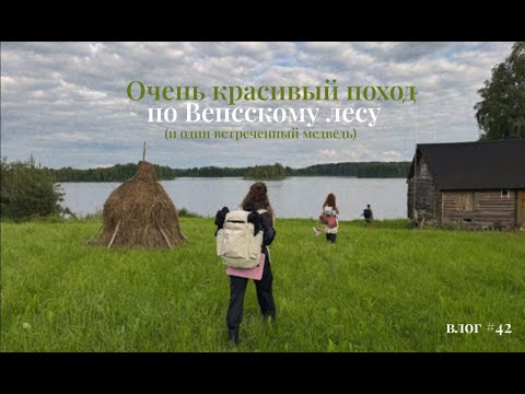 Видео: 3 дня в походе: прыжки через костер, 40 км по лесу, еда на костре и 1 встреченный медведь 🐻