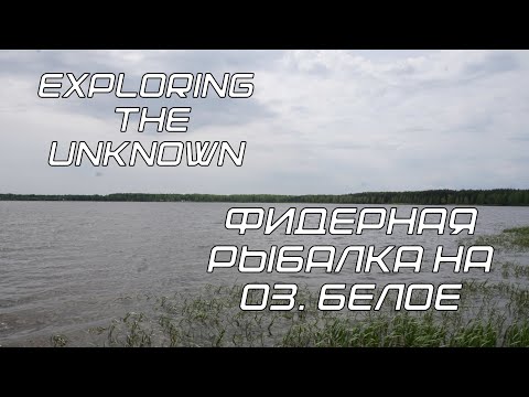 Видео: Карасевая рыбалка на оз. Белое | По Озёрам Мещерского края (ep. 2)