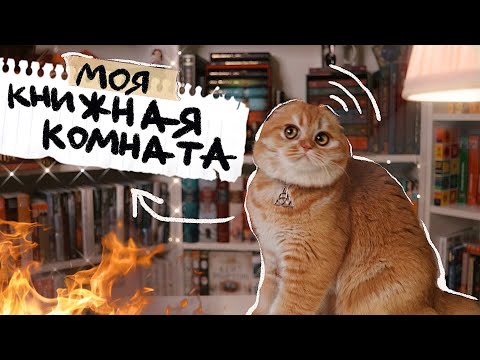 Видео: Рум Тур по уютной комнате | Мои Книжные полки 2021