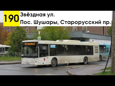 Видео: Автобус 190 "Звёздная ул. - пос. Шушары, Старорусский пр." (старая трасса)