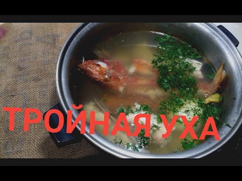 Видео: Тройная уха из морской рыбы.И немного Одсских секретов.