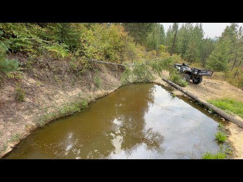 Видео: Лесной пруд задыхается… Я пробую спасти его