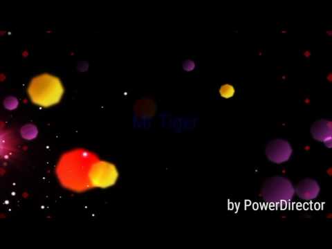 Видео: Пародия на клип она сумасшедшая но она моя от Mr Tiger