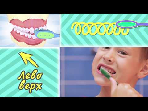 Видео: Урок гигиены от Динозубрика!