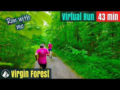 Видео: Природный лес 🇨🇭 Швейцария Страна чудес | Виртуальный забег №117