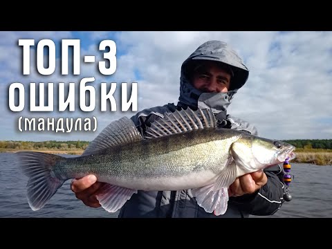 Видео: Приманка мандула. ТОП 3 ОШИБКИ. Как ловить на мандулу? Секреты, тонкости, советы.