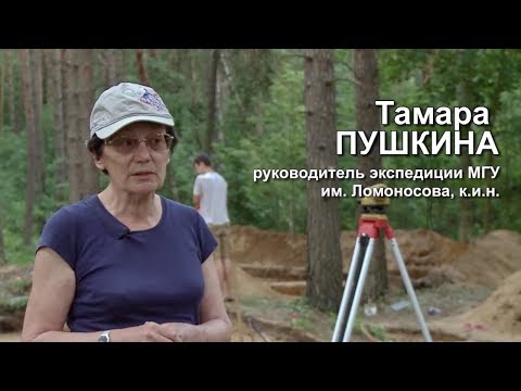 Видео: В Гнёздовских курганах обнаружен меч викингов