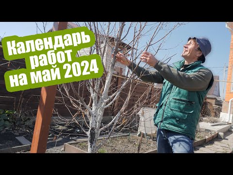 Видео: Лунный календарь садовода на май 2024. Благоприятные дни для посадки в мае