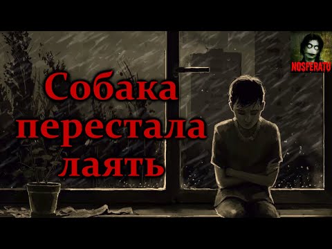 Видео: СОБАКА ПЕРЕСТАЛА ЛАЯТЬ. Страшные истории на ночь. Страшилки на ночь