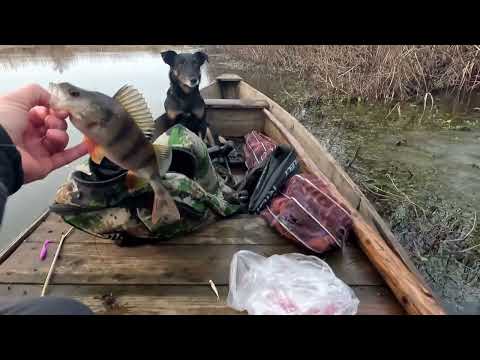 Видео: Зимова риболовля на Стоході Щука і Окунь на спінінг