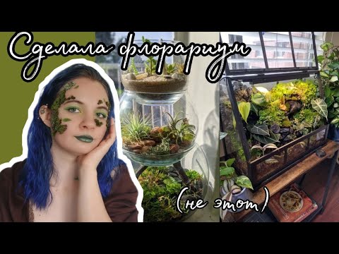 Видео: как сделать флорариум из старого аквариума