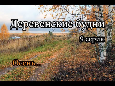 Видео: ОСЕНЬ В ДЕРЕВНЕ. ДЕРЕВЕНСКИЕ БУДНИ, 9 СЕРИЯ