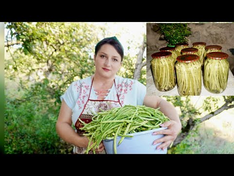 Видео: Կանաչ Լոբու Մարինադ -Պահածո-Рецепт маринованной стручковой фасоли на ЗИМУ-Շամշադինի Համը-Шамшадин