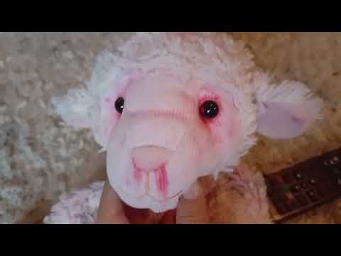 Видео: Барашек получил двойку 2