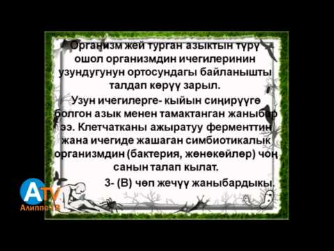 Видео: Предметтик тест. Биология. Уландысы 2.