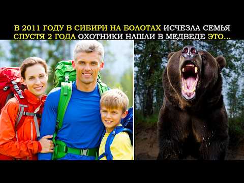 Видео: В 2011 Году В Сибири На Болотах Пропала Семья. Спустя 2 Года Внутри Медведя Охотники Обнаружили...
