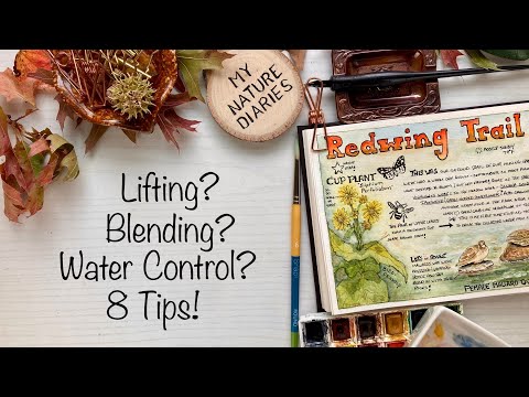 Видео: Советы и техники для начинающих по акварельной живописи/Журнал природы