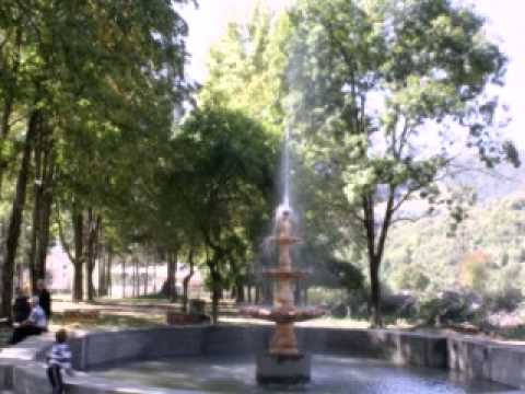 Видео: Квайса дорогая, Квайса золотая!