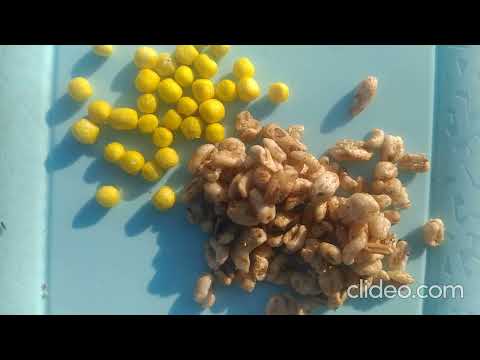 Видео: Червяное. 23 июня 2022 г.