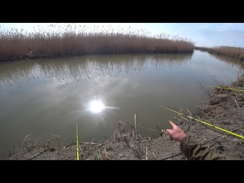 Видео: Первый выезд на весеннюю рыбалку на сазана