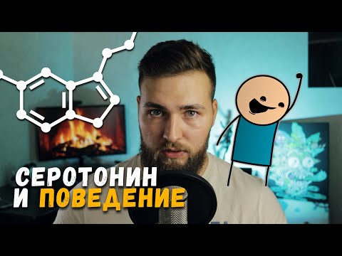Видео: Удовольствие и счастье / Дофамин и Серотонин