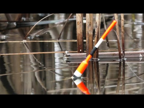 Видео: МОЩНЫЕ КАРАСИ на ПОПЛАВОК в ДЕКАБРЕ