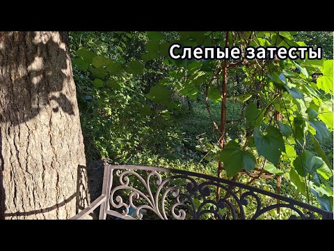 Видео: Загородные слепые затесты + распаковка нового аромата