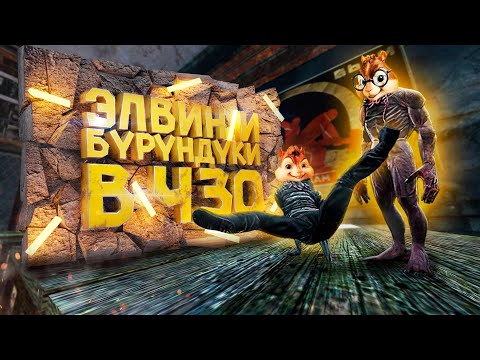 Видео: Я - ПРОДЮСЕР в STALKER RP | Dayz RP