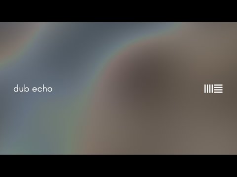 Видео: Dub Echo ─ Объяснение музыковеда #ableton #электроннаямузыка #даб