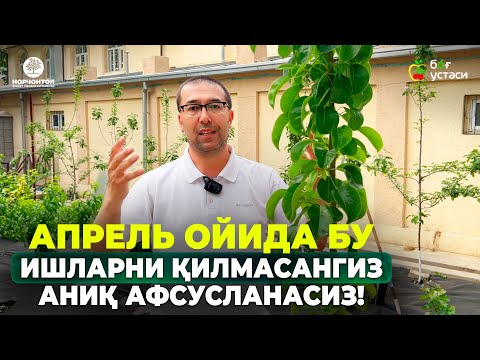Видео: ЧИЛПИШ, ЎҒИТЛАШ, СУҒОРИШ – КЕЛИНГ БИРГАЛИКДА КЎРИБ ЧИҚАМИЗ! | ШУҲРАТ АБРОРОВ #sugorish #ogitlash #uz