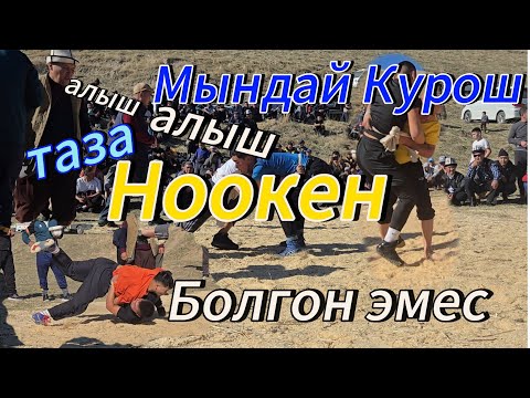 Видео: Нурбек балбандын сурмой курошу