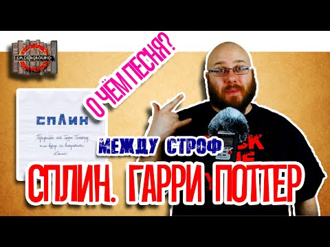 Видео: СПЛИН Передайте это Гарри Поттеру. О чём песня? [Между Строф #4]