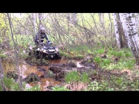 Видео: Покатушки на квадроциклах