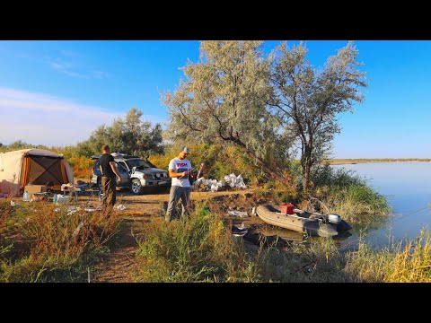 Видео: БЕШЕННЫЙ КЛЁВ НА РЕКЕ ИЛИ! Осенняя рыбалка на реке ИЛИ! ОСЕННИЕ ТРОФЕИ! САЗАН СУДАК ЖЕРЕХ СОМ!