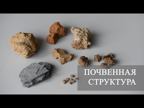 Видео: Морфология почв. Почвенная структура.