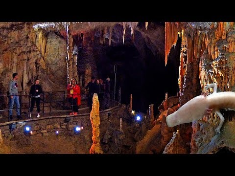 Видео: ГРАНДИОЗНАЯ ПЕЩЕРА Постойнска Яма POSTOJNSKA JAMA Словения