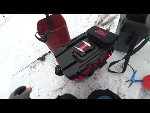 Видео: НЕ ОЖИДАЛ ТАКОГО ОТ БЛЕСНЫ. Отвесное блеснение. Щука на жерлицы.