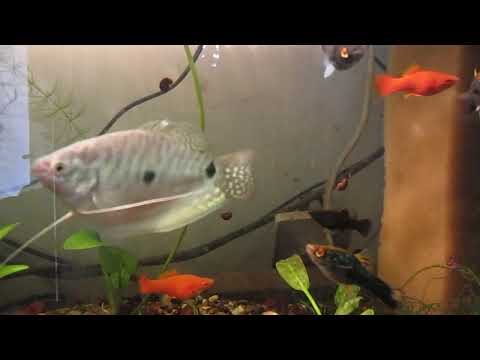 Видео: Мартовский обзорчик