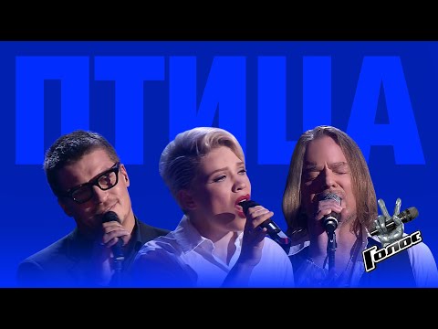 Видео: Тина Кузнецова, Антон Беляев, Владимир Пресняков — Птица (шоу «Голос», 2 сезон, 2013)