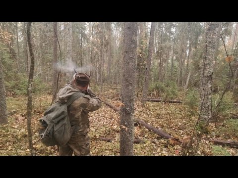 Видео: ОХОТА НА РЯБЧИКА С МАНКОМ с Иж 27. ПОГОДА ИСПОРТИЛАСЬ. ДОБУДЕМ ЛИ РЯБЧИКА?!