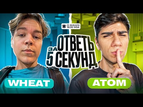 Видео: ШОУ RIMERA ОТВЕТЬ ЗА 5 СЕКУНД C AT0M И WHEAT
