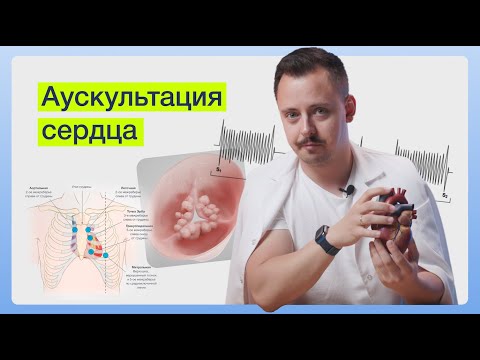 Видео: Аускультация пороков сердца | SYNAPSE