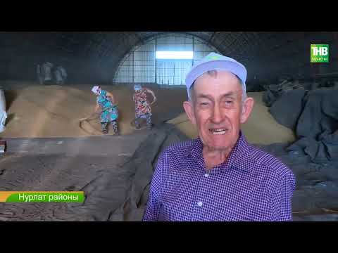 Видео: Туган жир 26/08/22