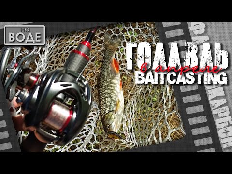 Видео: Голавль весной. Почему бейткастинг и флюорокарбон?!. (chub fishing, baitcasting and fluorocarbon)