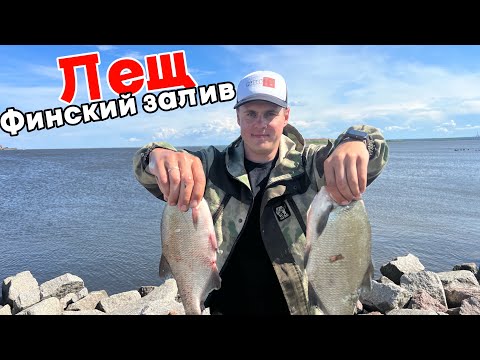 Видео: Лещ. Финский. Дамба. Ловля Леща на Финском заливе. Дамба.