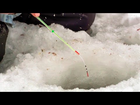 Видео: ЛОВЛЮ КАЙФ И ПОЛУЧАЮ РЫБУ В СНЕГОПАД! Ловля леща зимой. Зимняя рыбалка на мормышку.